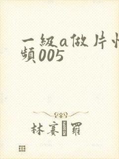 一级a做片性视频005