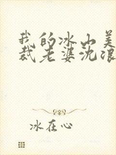 我的冰山美女总裁老婆沈浪苏若雪