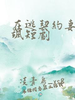 在逃契约妻美又飒短剧