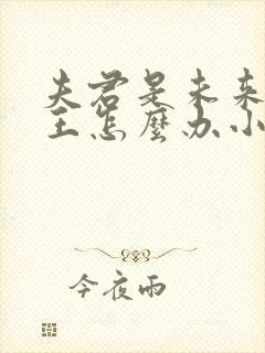 夫君是未来大魔王怎么办小说