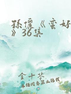 孙俪《蛮好人生》36集