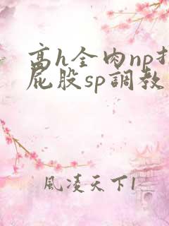 高h全肉np打屁股sp调教