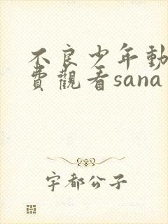 不良少年动漫免费观看sana