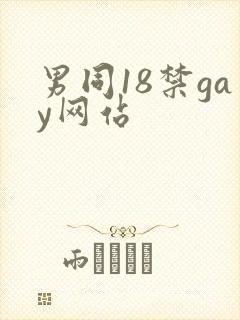 男同18禁gay网站