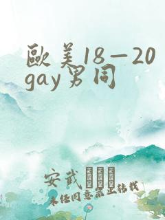 欧美18—20gay男同