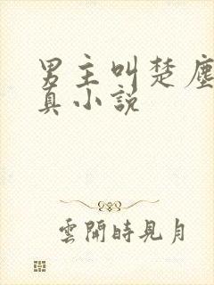 男主叫楚尘的修真小说