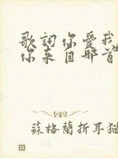 歌词你爱我我爱你来自哪首歌
