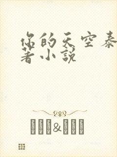 你的天空泰剧原著小说