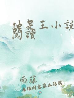 他是王小说免费阅读