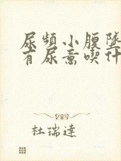 尿频小腹坠胀总有尿意吃什么药