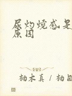 尿灼烧感是什么原因