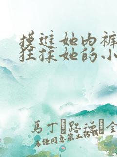 摸进她内裤里疯狂揉她的小说