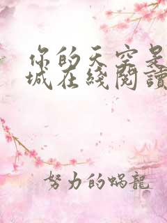 你的天空是我的城在线阅读免费阅读全文