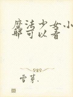 魔法少女小圆在哪可以看