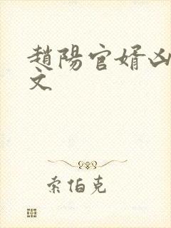 赵阳官婿凶猛全文