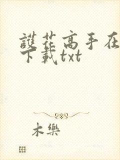 护花高手在都市下载txt