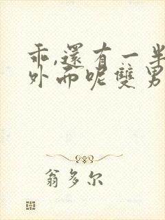 乖,还有一半在外面呢双男主小说