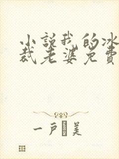 小说我的冰山总裁老婆免费阅读