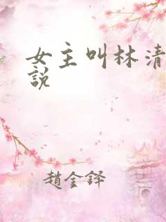 女主叫林清的小说