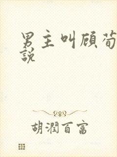 男主叫顾荀的小说