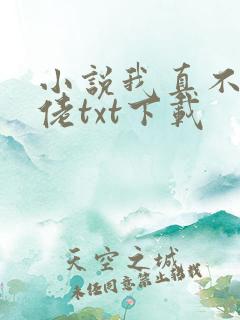 小说我真不是大佬txt下载