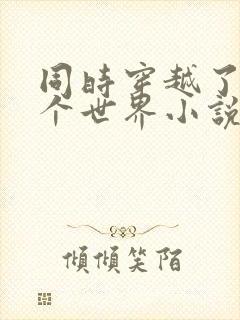 同时穿越了99个世界小说下载