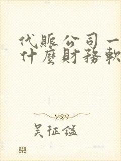 代账公司一般用什么财务软件做账