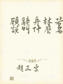 顾辞舟林若夏小说叫什么名字