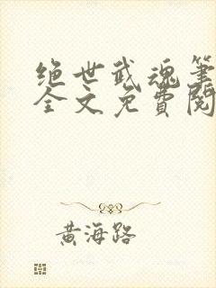 绝世武魂笔趣阁全文免费阅读