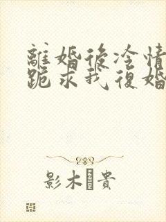 离婚后冷情前夫跪求我复婚商赫全文小说