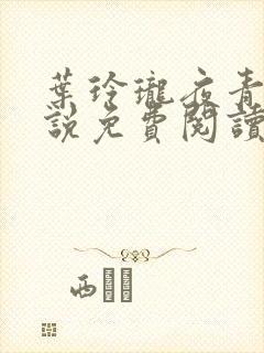 叶玲珑夜青玄小说免费阅读