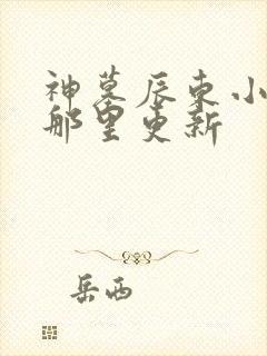 神墓辰东小说在那里更新