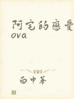 阿宅的恋爱真难ova