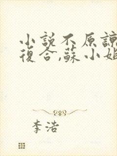 小说不原谅,不复合,苏小姐独美全文