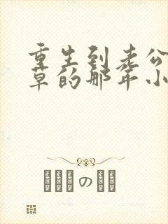 重生到老公当校草的那年小说