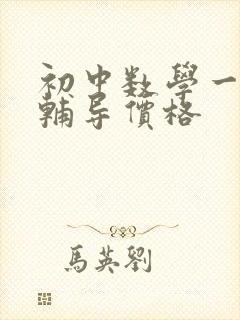 初中数学一对一辅导价格