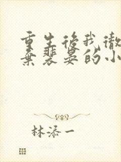 重生后我彻底放弃裴晏的小说