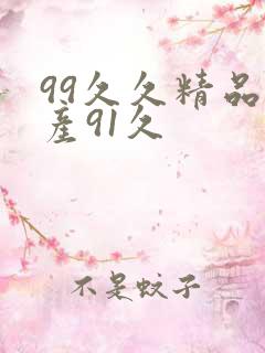 99久久精品国产91久
