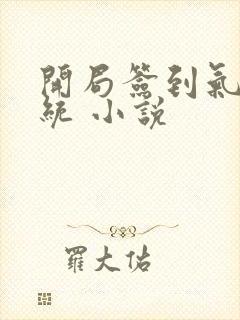 开局签到气运系统 小说