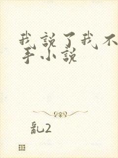 我说了我不是凶手小说