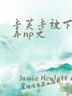 卡芙卡被下药玩弄np文