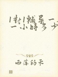 1对1辅导一般一小时多少钱