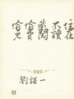 偷偷藏不住小说免费阅读在线