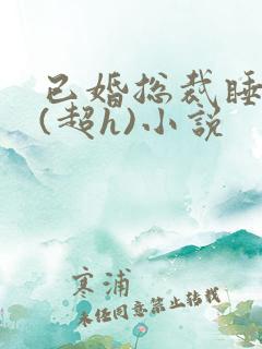 已婚总裁睡秘书(超h)小说