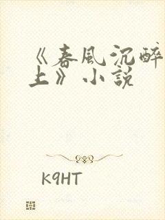 《春风沉醉的晚上》小说