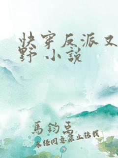 快穿反派又甜又野 小说
