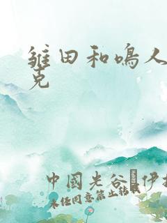 雏田和鸣人打扑克