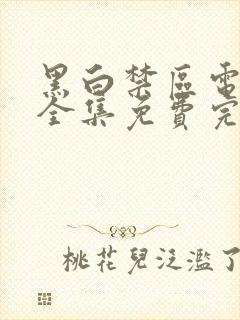 黑白禁区电视剧全集免费完整版