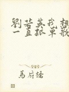 刘若英我想我会一直孤单歌词