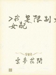 >我是限制文的女配